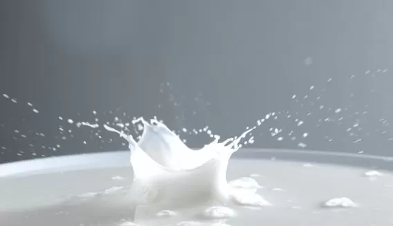 The open-cell structure of natural latex consists of millions of interconnecting microscopic air bubbles, which promote healthy air circulation. Natural movement during the night works to ventilate the mattress, keeping both you and your bed at a consistent and comfortable temperature. Latex naturally contains anti-allergenic, anti-bacterial, and anti-microbial properties. The unique manufacturing process ensures that all these characteristics are carried through into the finished product. With its unrivalled elasticity, natural latex provides instant pressure relief and encourages a healthy blood supply to your muscles, so you wake up feeling refreshed and revitalised. The open-cell structure of natural latex consists of millions of interconnecting microscopic air bubbles, which promote healthy air circulation. Natural movement during the night works to ventilate the mattress, keeping both you and your bed at a consistent and comfortable temperature. Latex naturally contains anti-allergenic, anti-bacterial, and anti-microbial properties. The unique manufacturing process ensures that all these characteristics are carried through into the finished product. With its unrivalled elasticity, natural latex provides instant pressure relief and encourages a healthy blood supply to your muscles, so you wake up feeling refreshed and revitalised.